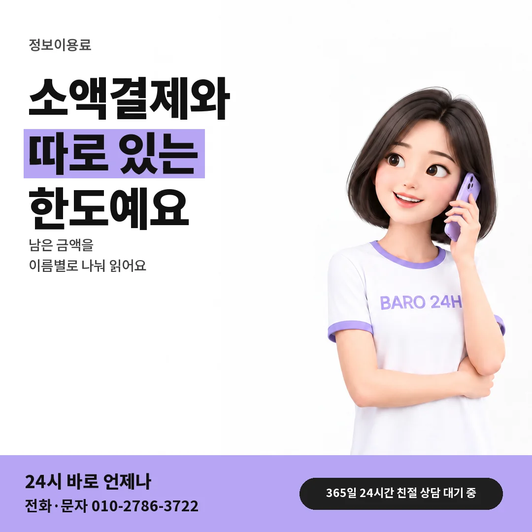 BARO 24H 티셔츠를 입은 3D 인물 옆에 「정보이용료와 소액결제 한도」 제목을 얹은 안내 카드